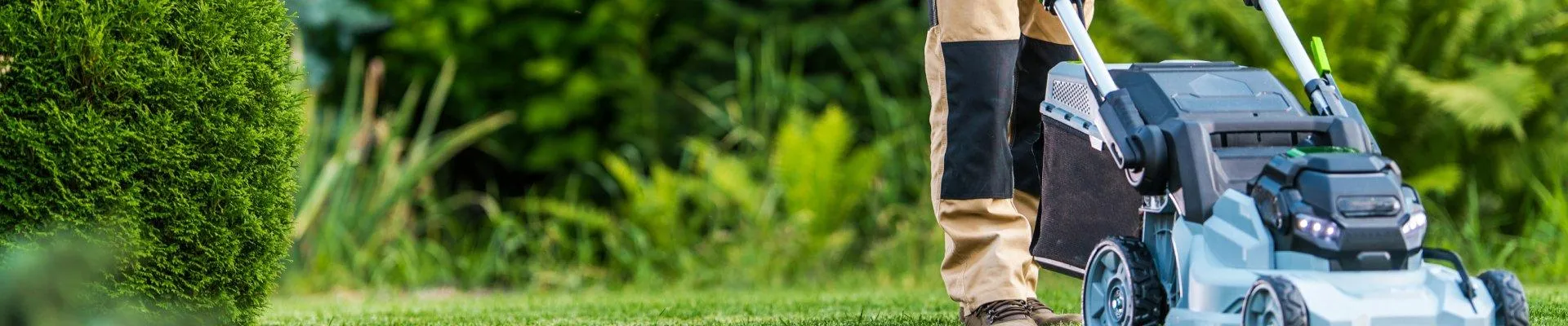 IARBA POATE FI ÎNTOTDEAUNA MAI VERDE